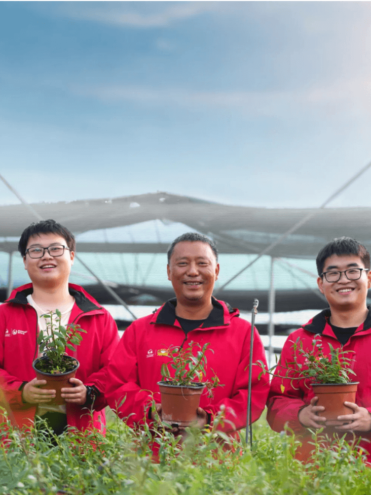 Rural Talent Development