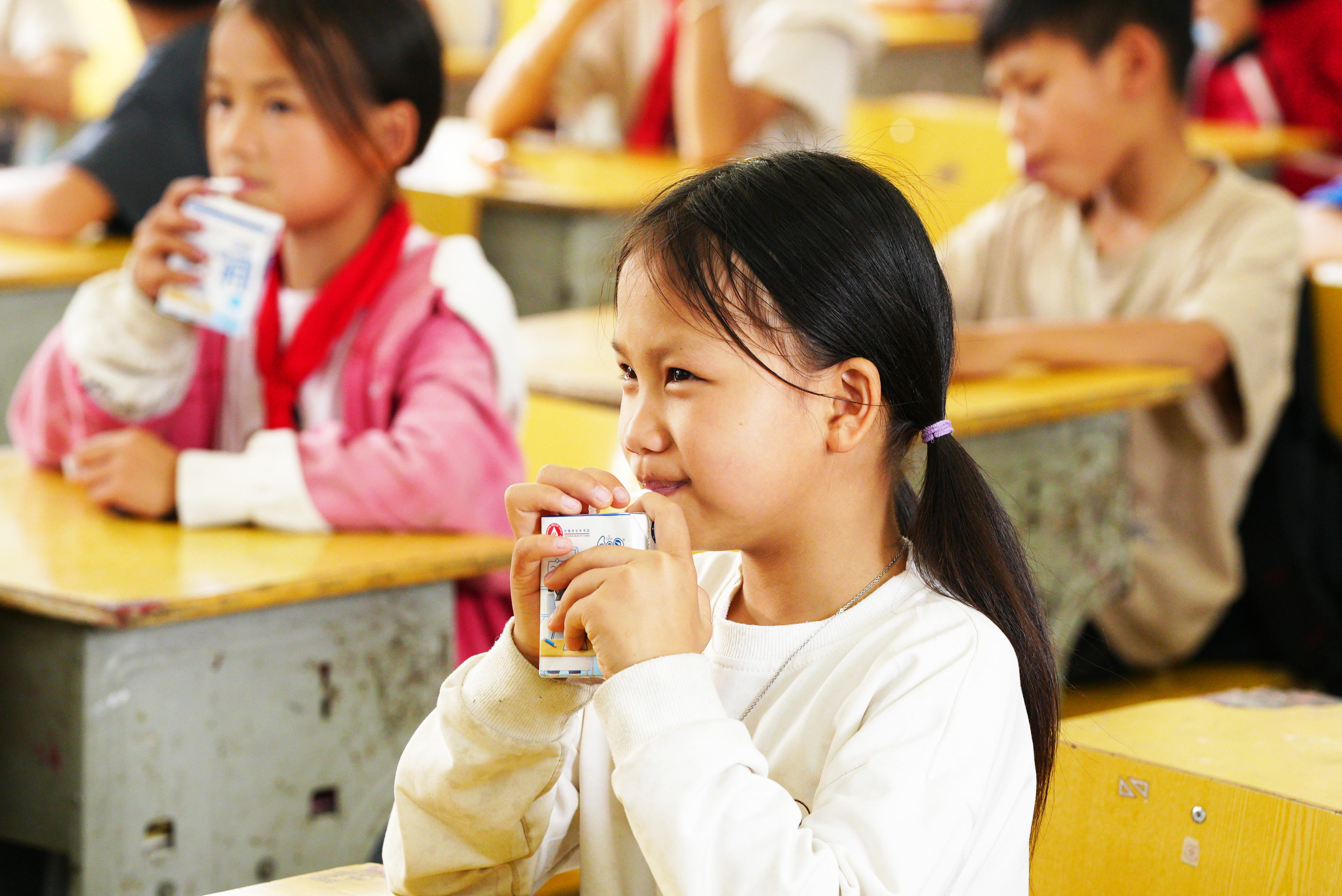 Nutritious Meals Project