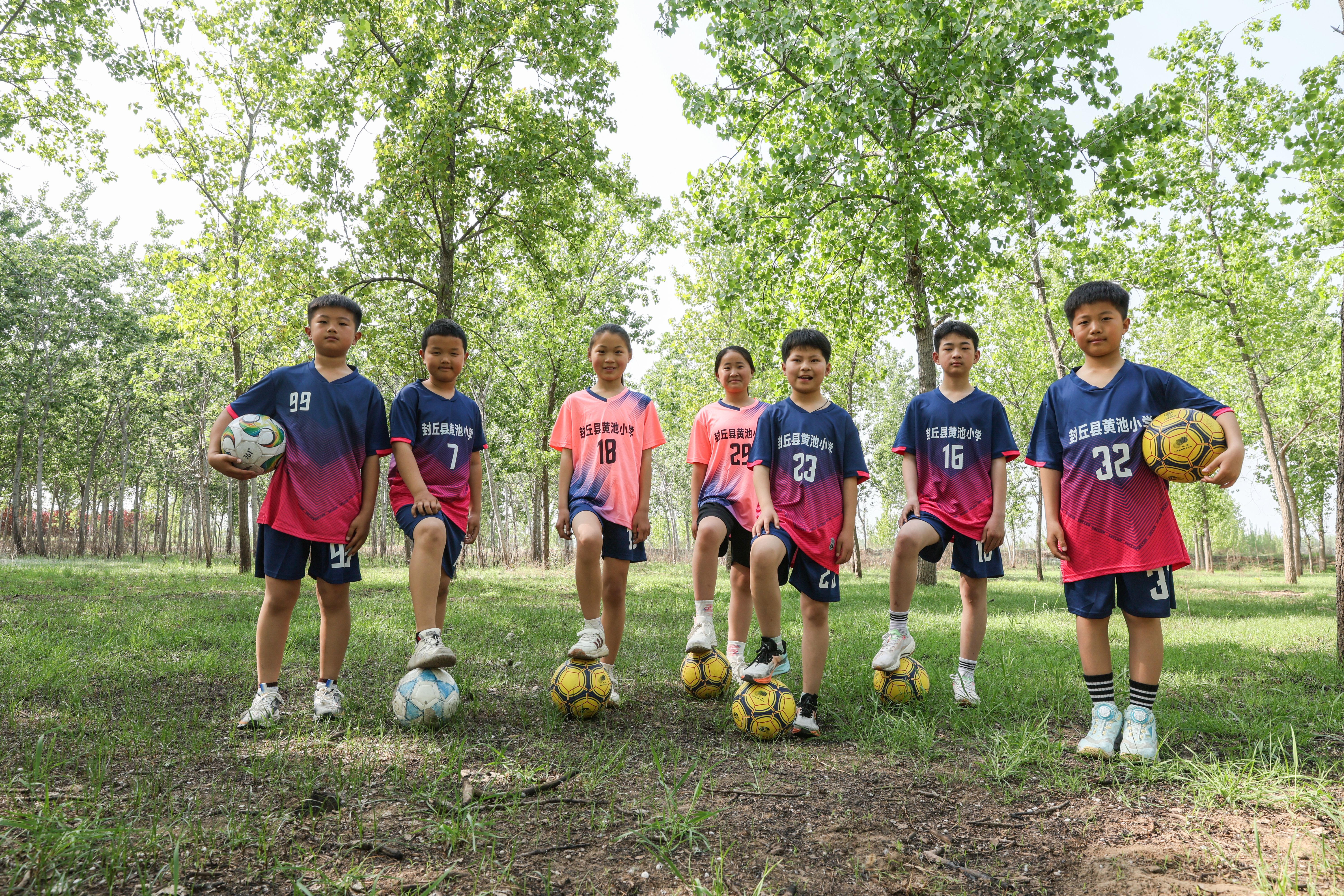 NPO Cooperation Project