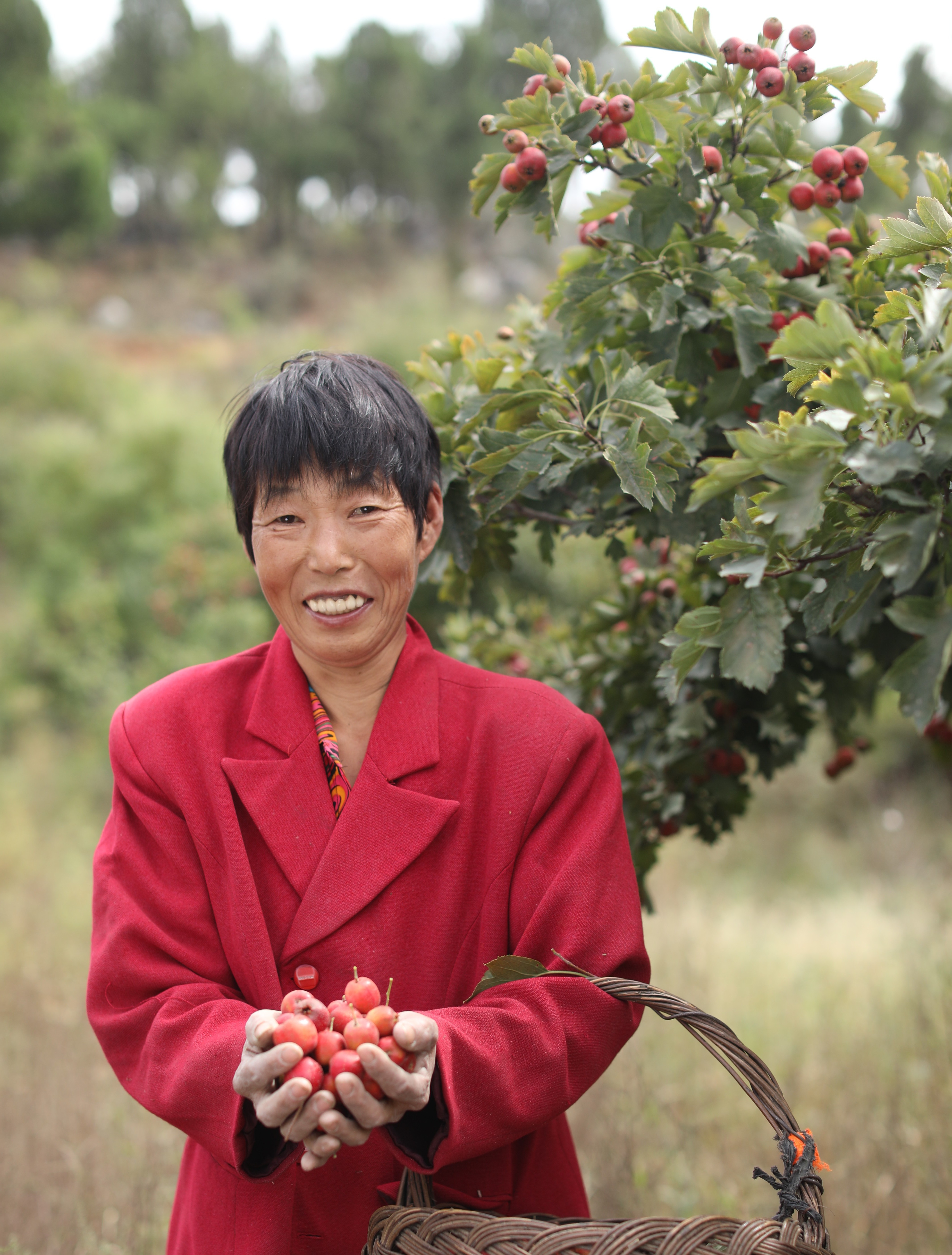 Rural Industry Development