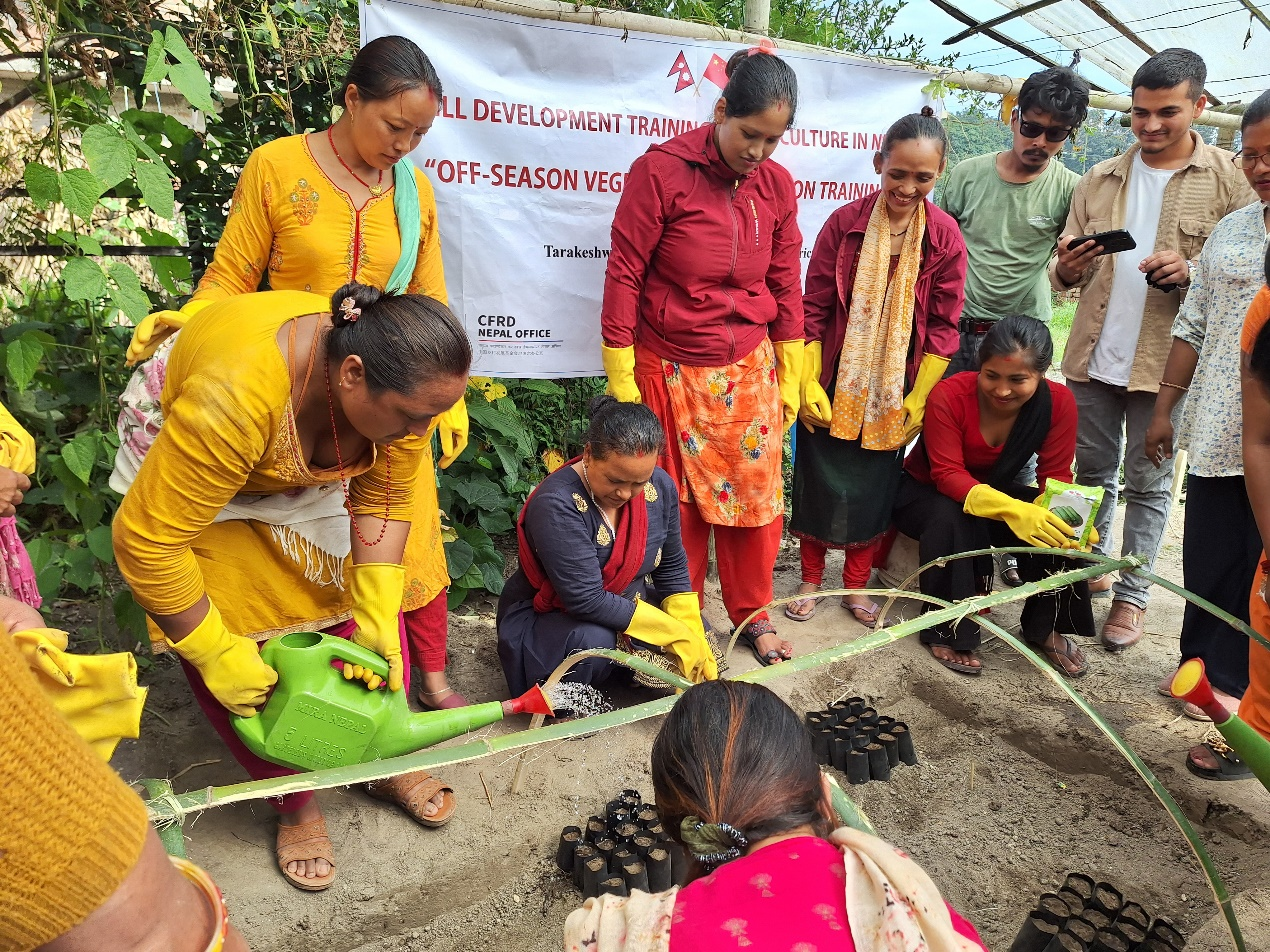 Integrated International Development Projects