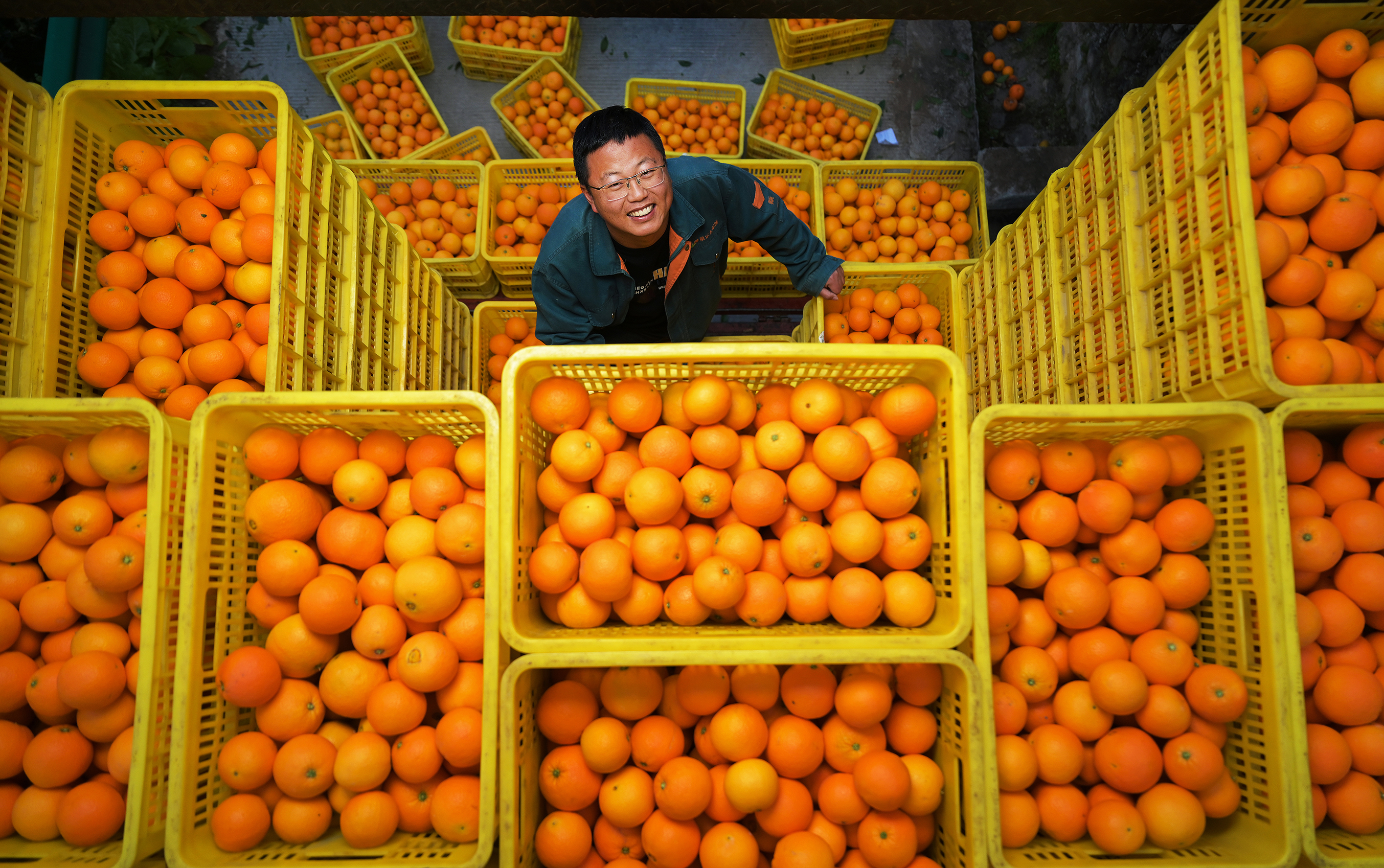 Shanpin E-Commerce Agricultural Income Generation Program