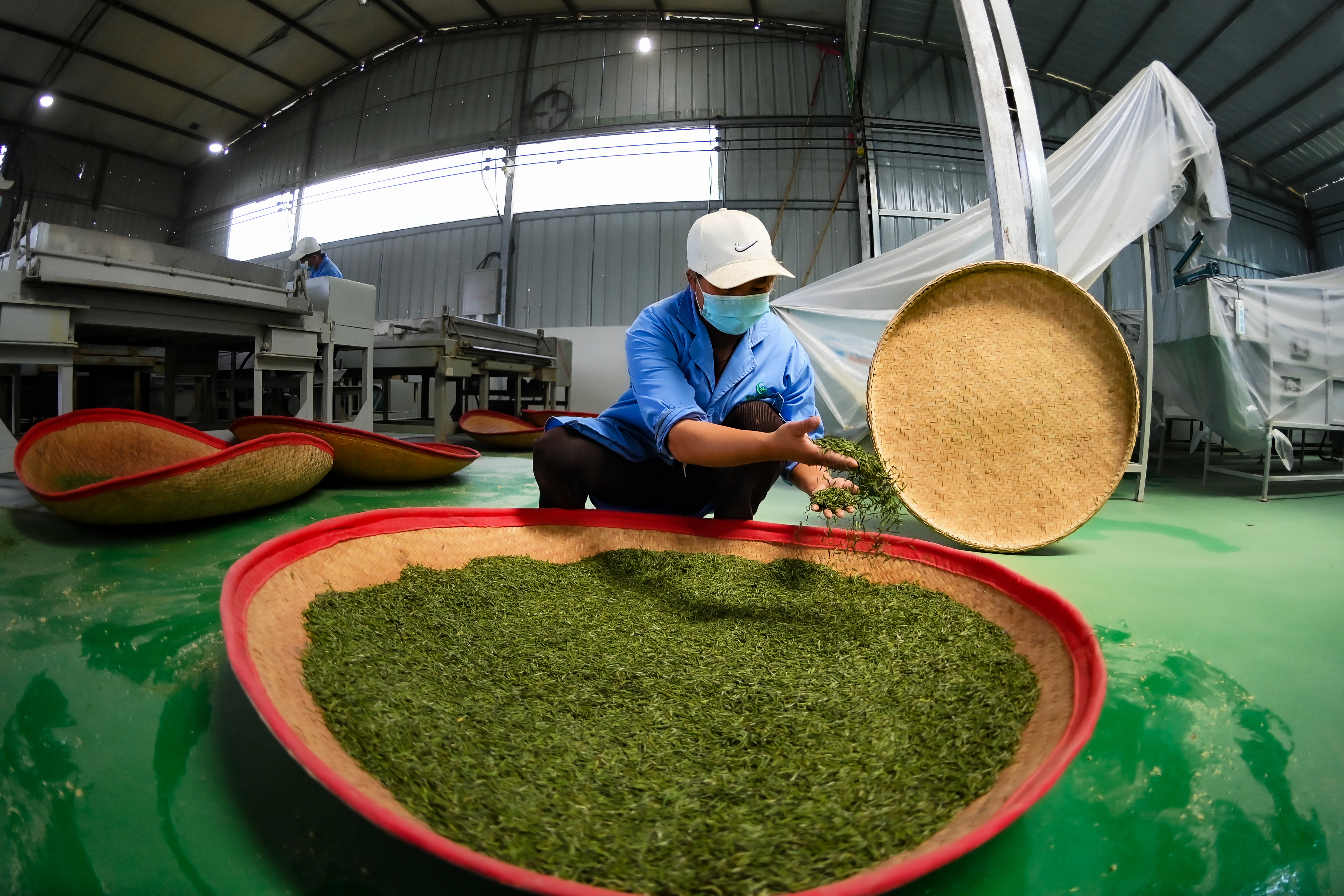 Rural Industry Development Project