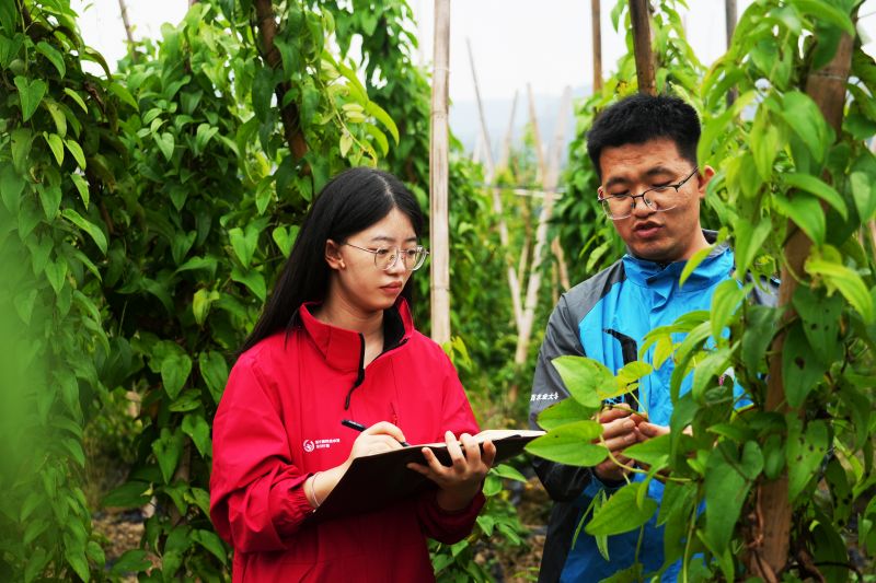 New Great Wall Rural Science and Technology  Backyard Supporting Plan